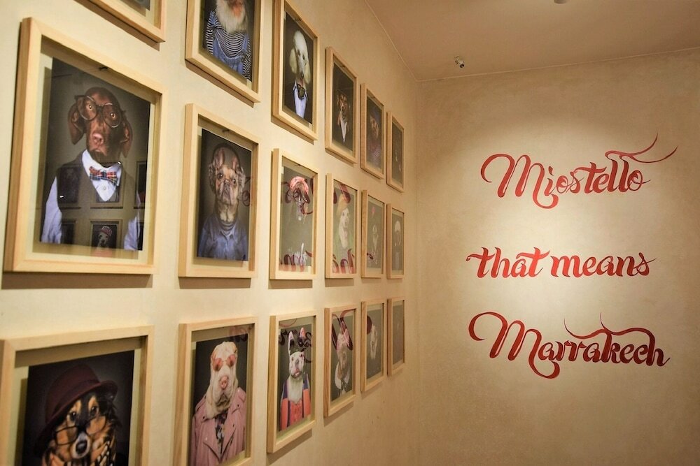 Фото Miostello Lifestyle Hostel Marrakech