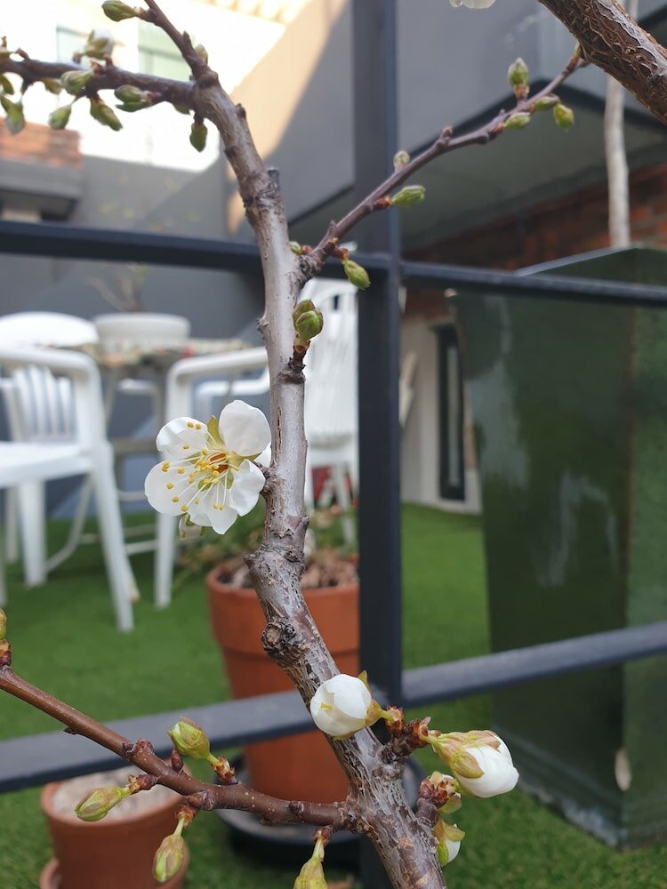 Фото Naksan Balcony