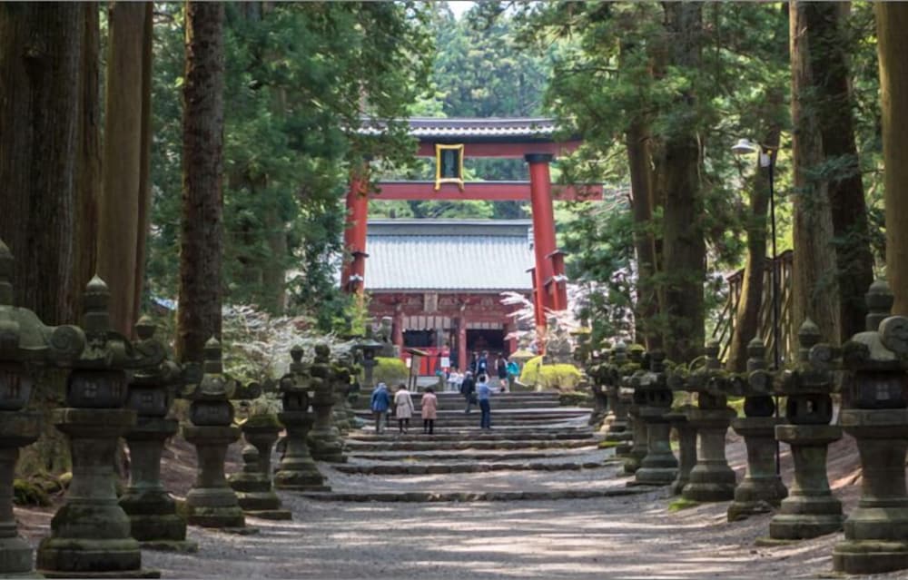 Фото Sakura Fuji