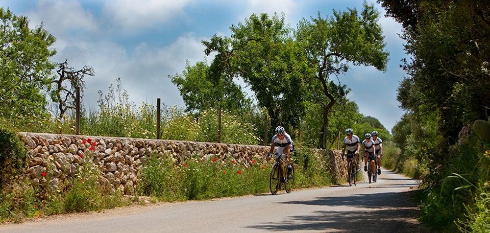 Фото Son Julia Country House & SPA