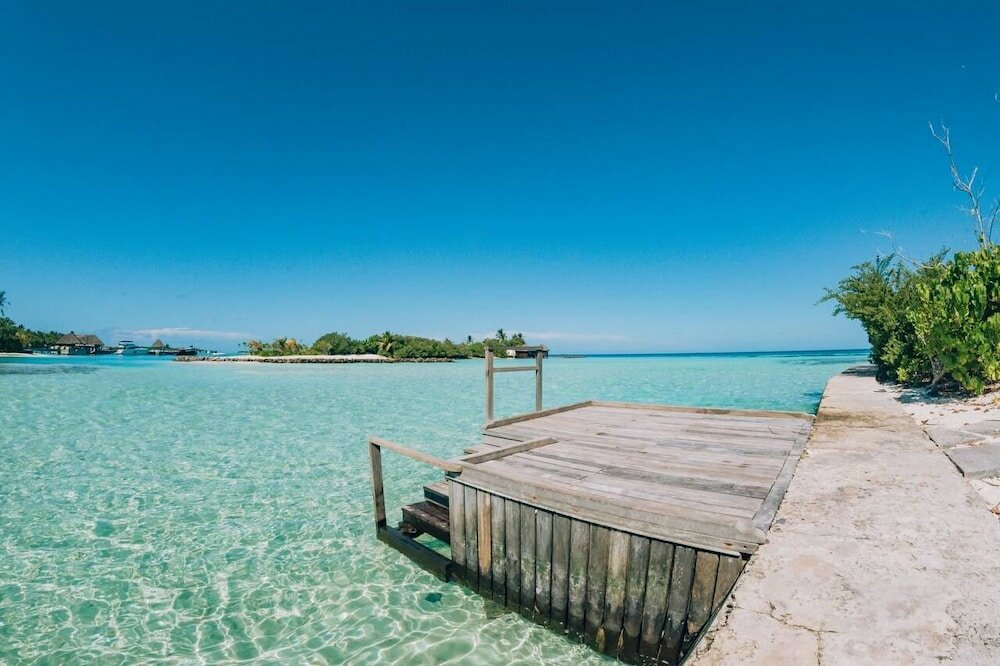 Фото The Bilimbi Guesthouse & Inn