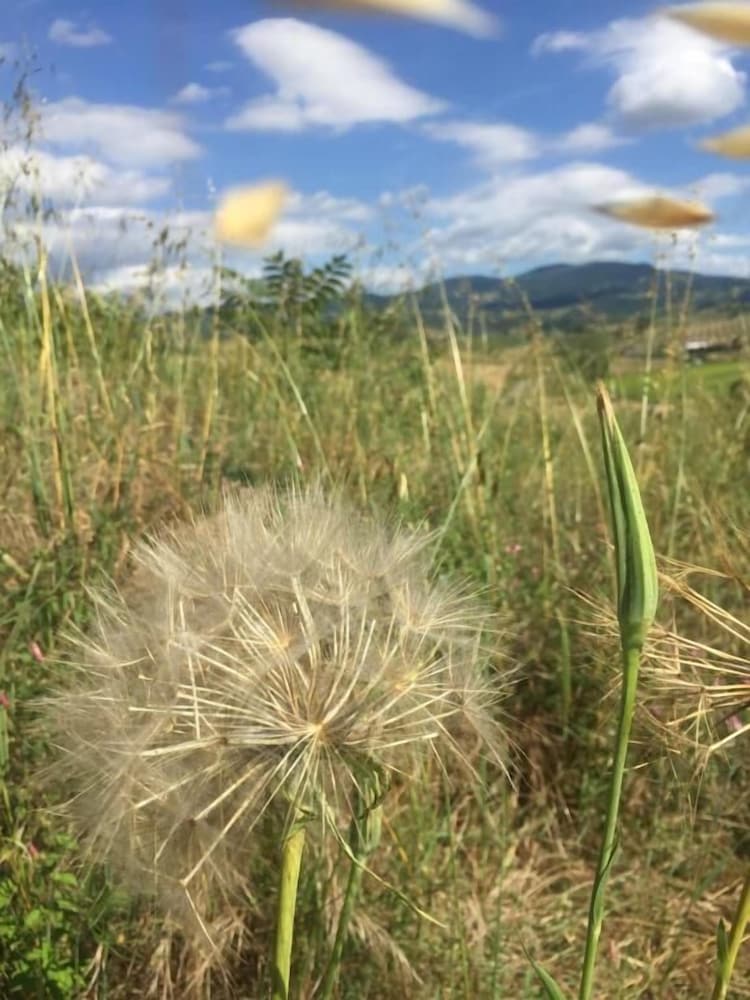 Фото Poggio alla Pietra 26