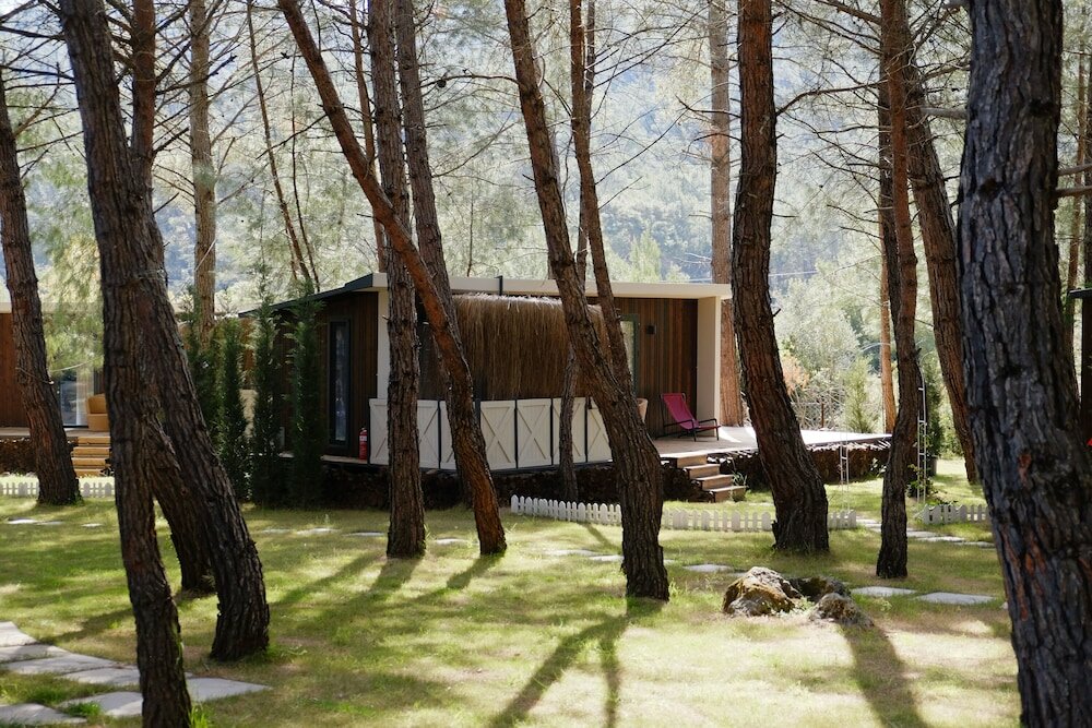 Фото Mossa Afkule