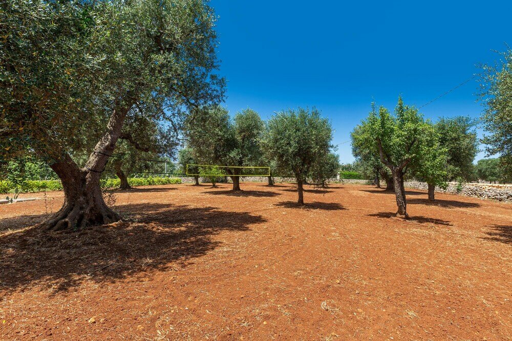 Фото 3584 Trullo Kalia by Barbarhouse