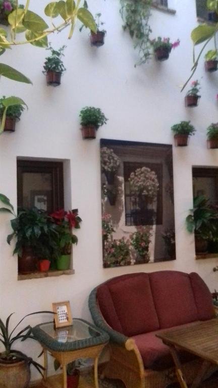 Фото Hospederia Alma Andalusi