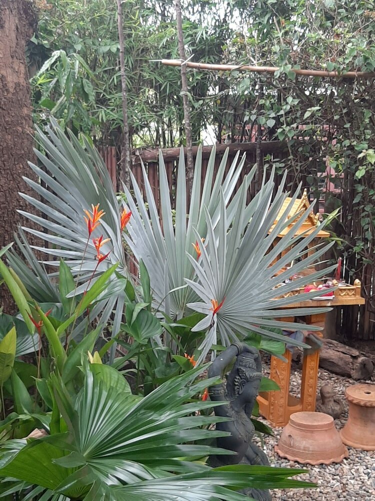 Фото Guesthouse Liam's Suan Dok Mai