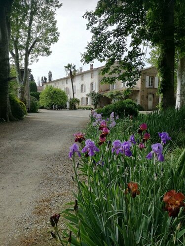 Гостиница Mon Petit Soulié в Лиму