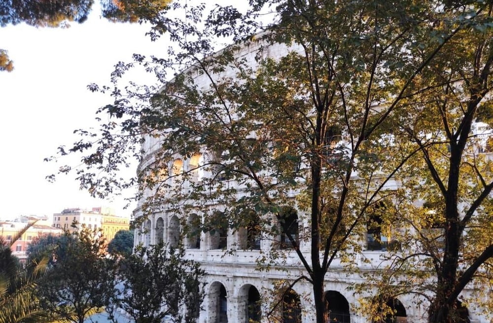 Фото Conte House