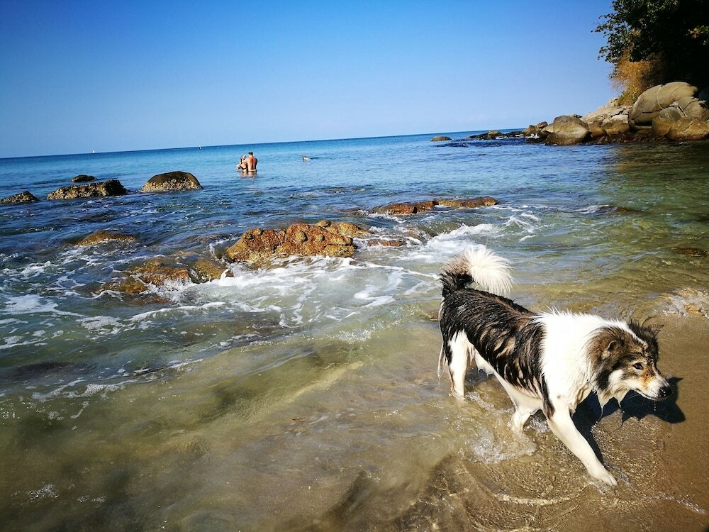 Фото On The Hill Karon Resort