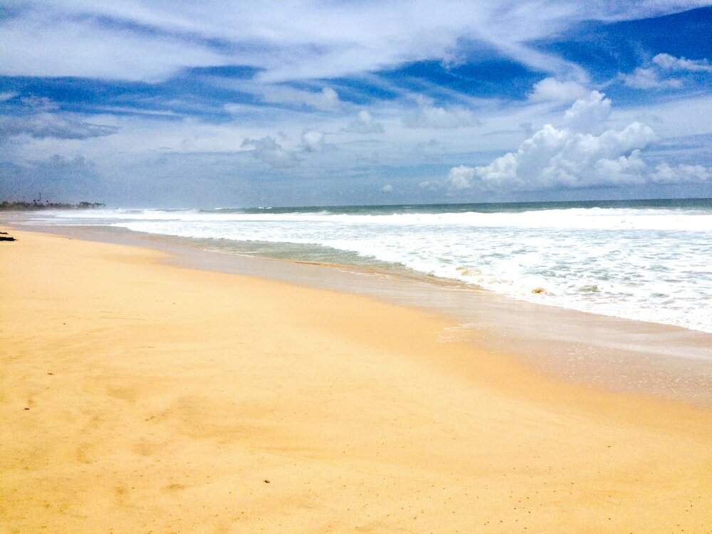 Фото Orchard House