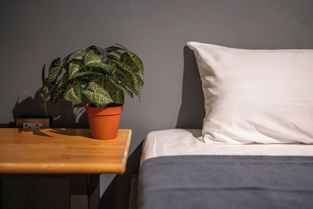 Фото Black Panther Hostel