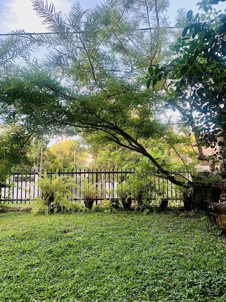 Фото Jungle City Hostel