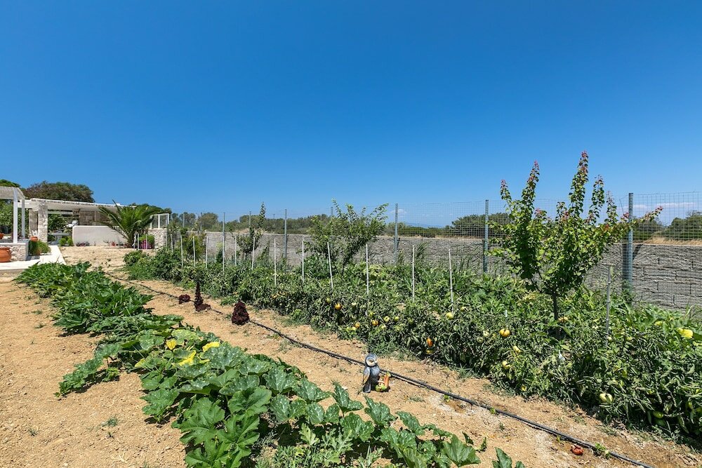 Фото White Pearls Luxury Suites - Adults Only