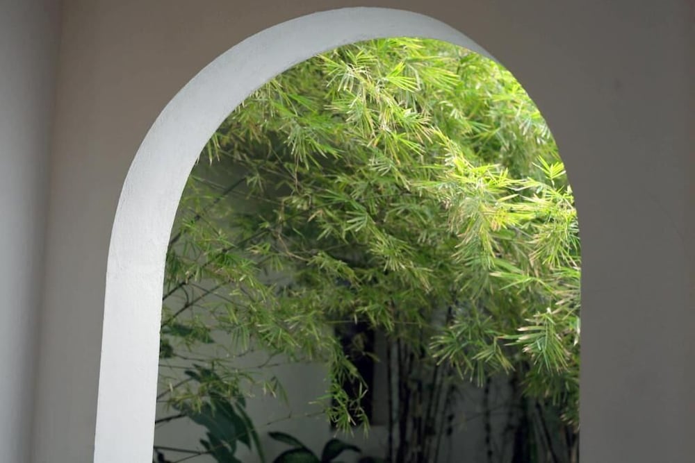 Фото Moss Colombo