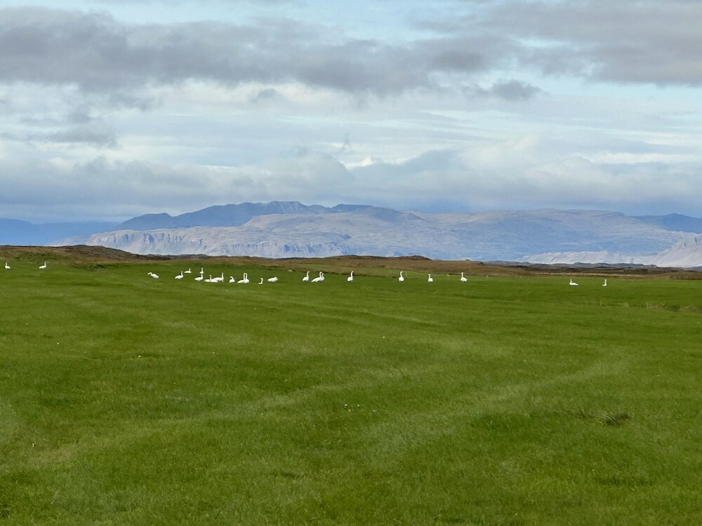 Фото Selið Farm Stay Guesthouse