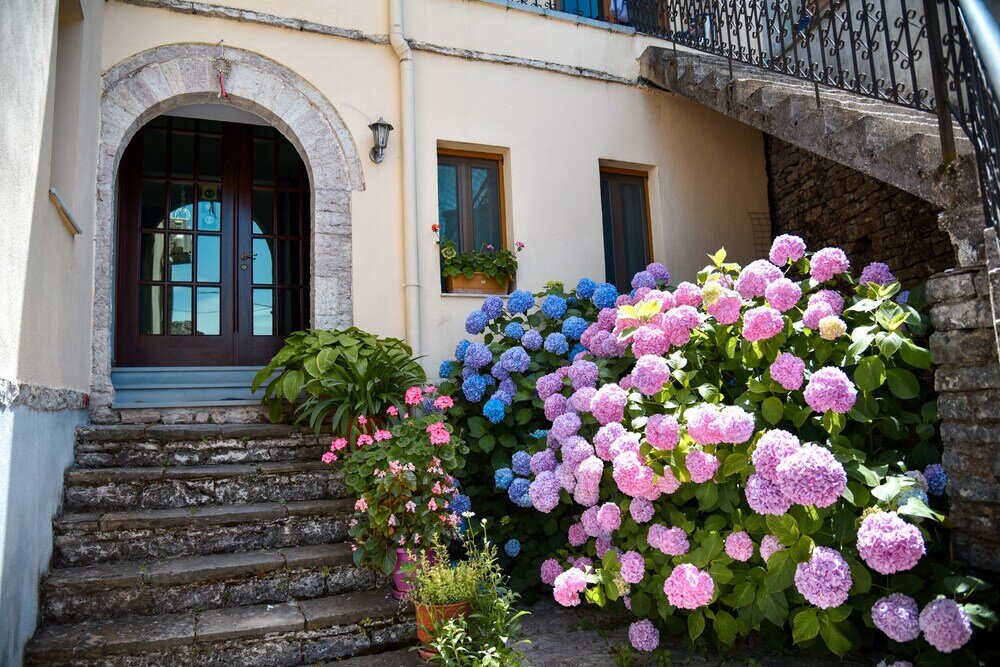 Фото Hotel Palorto