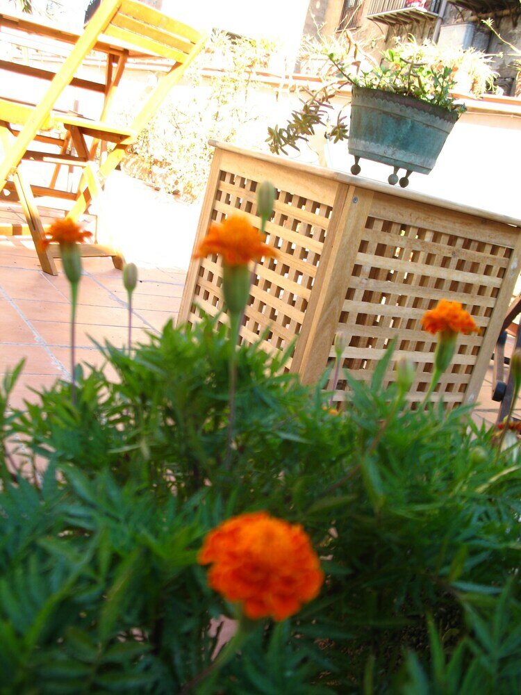 Фото Una Terrazza Sul Mercato Del Capo by Wonderful Italy