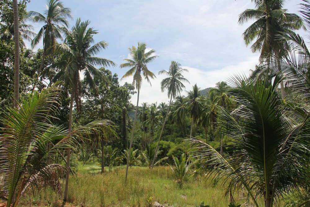 Фото Yangyai Garden Lodge