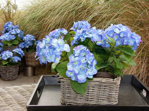 Фото Apartment Flat Fish