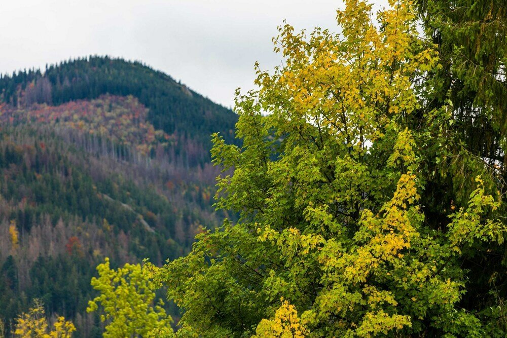 Фото Cosy Pimlico Retreat