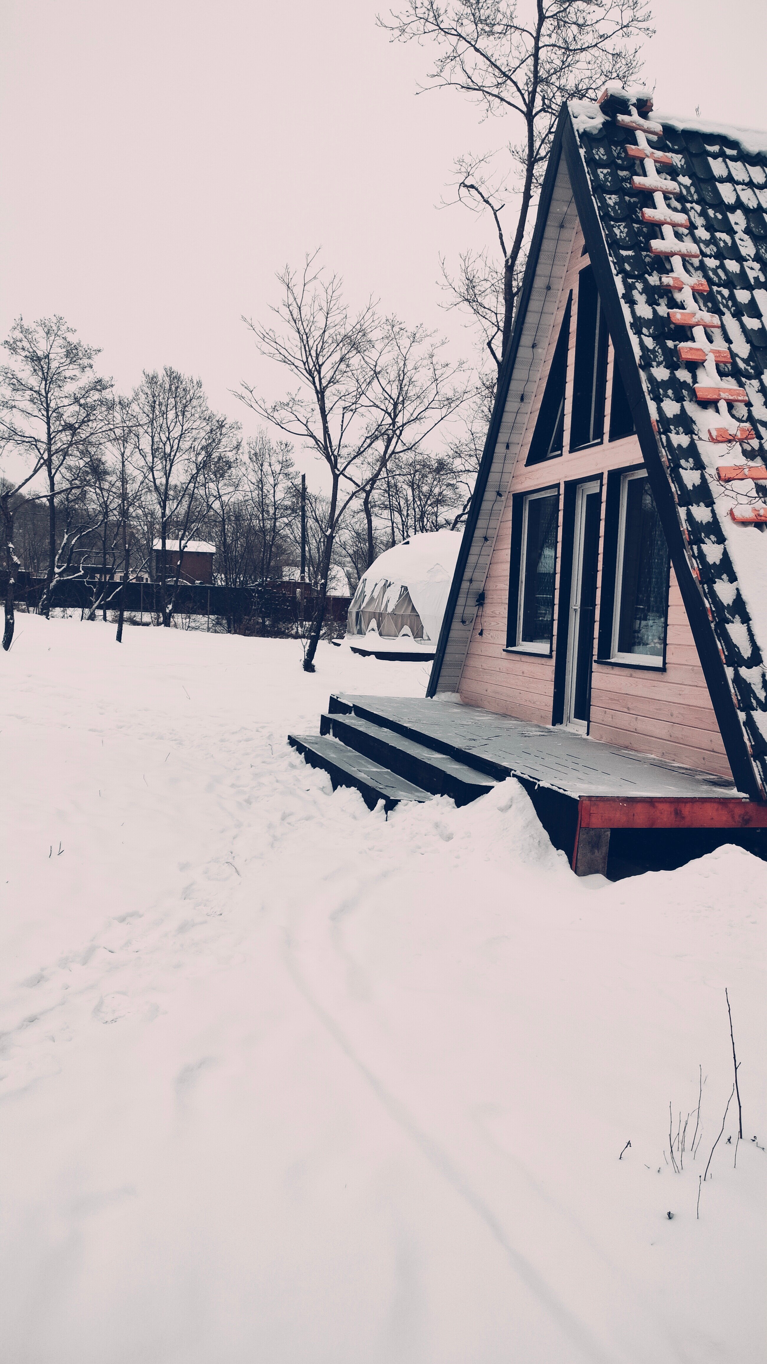 Фото Граф Потоцкий