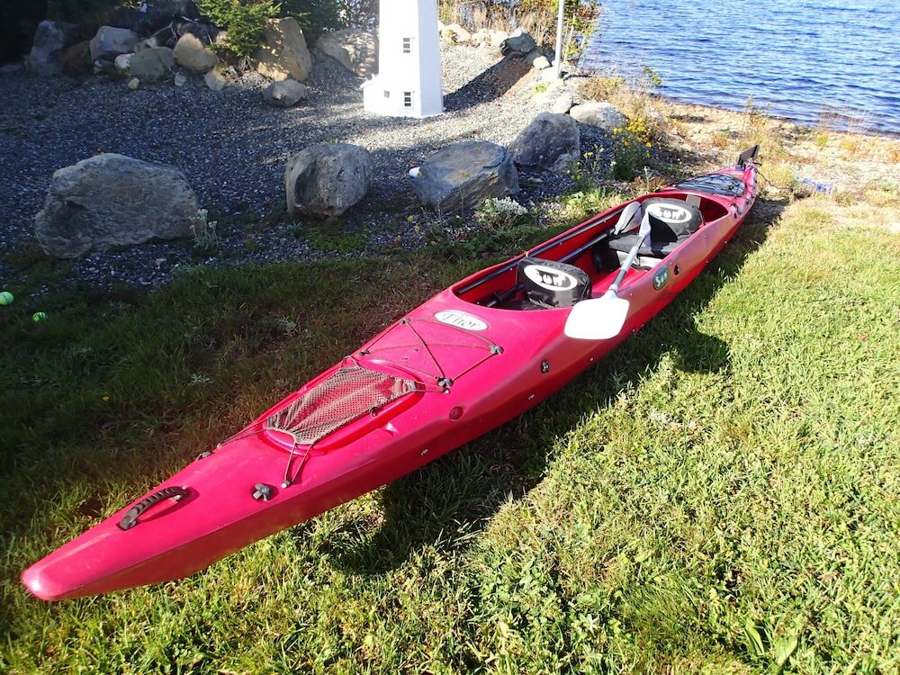 Фото The Cozy Fox