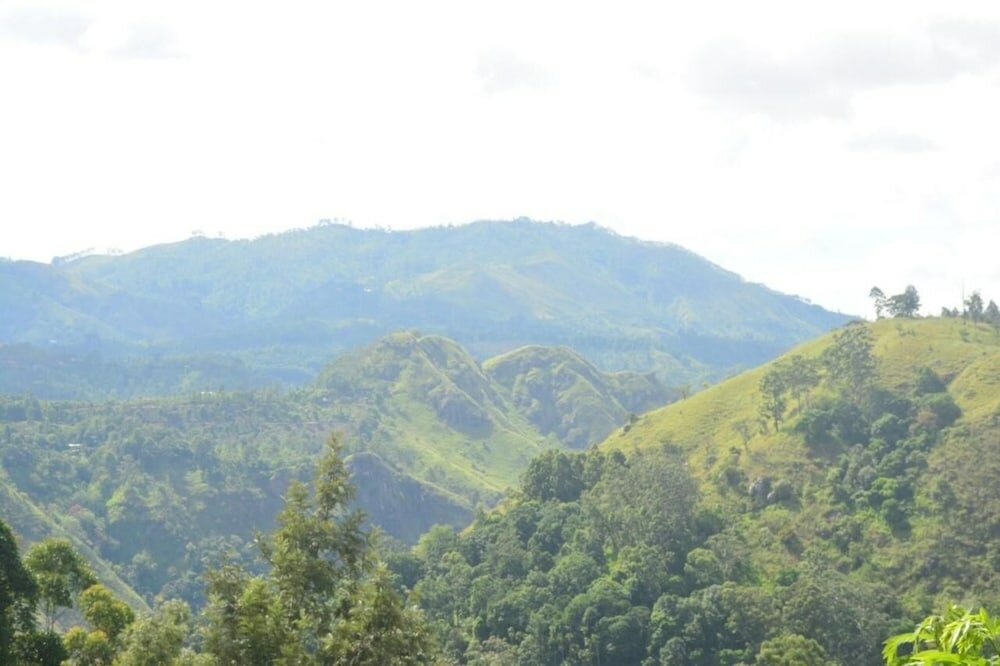 Фото Cloudy Hill Cottage