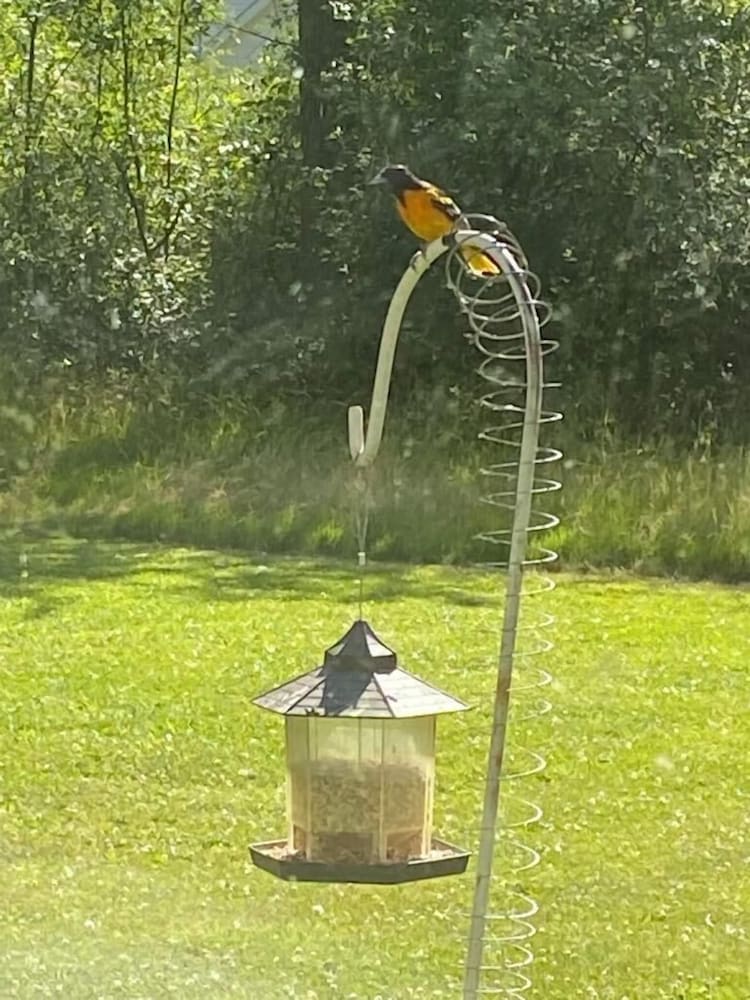 Фото The Sanctuary On Huron River