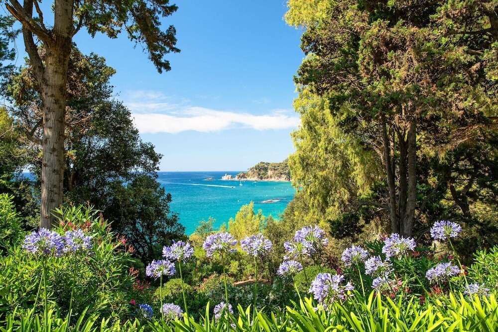 Фото Hotel htop Palm Beach