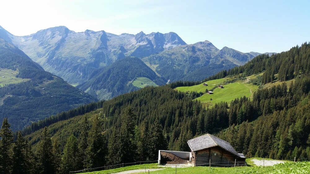 Фото Almhof Family Resort & SPA