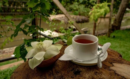 Гостиница Ayur Ayur Ayurveda Retreat