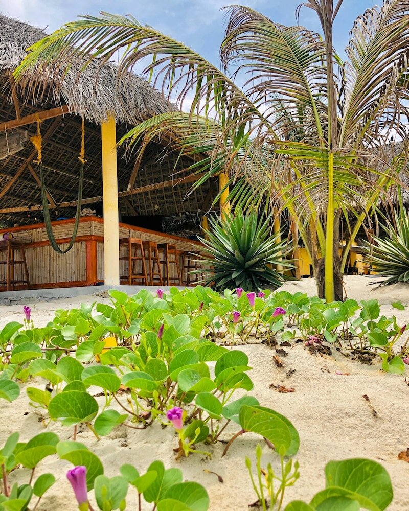 Фото Ocean Beach Hostel