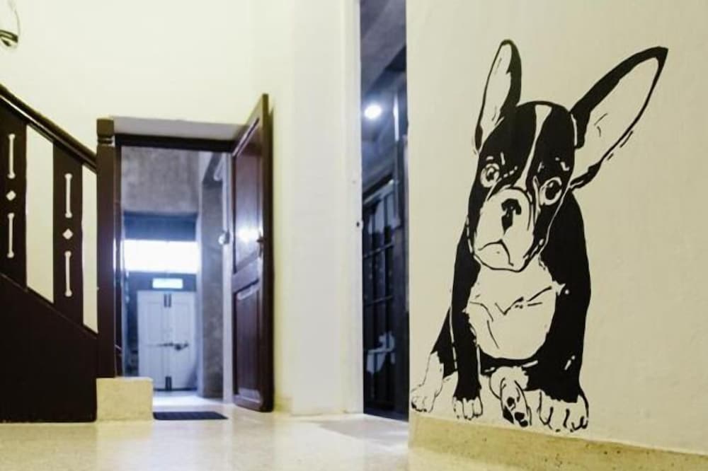 Фото Paper Plane Hostel