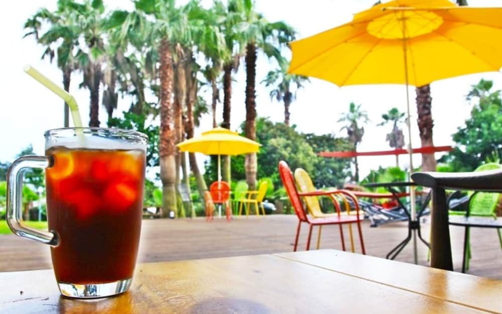 Фото Jeju Neopbille Guest House