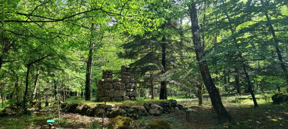 Фото Rifugio Montano