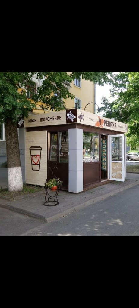 Coffee to go Черепаха, Pskov, photo
