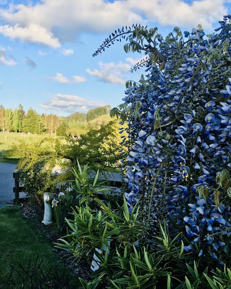 Фото Orchard View FarmStay Retreat