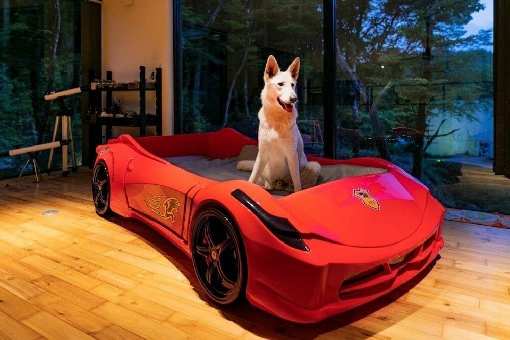 Фото Aso Daiichikan