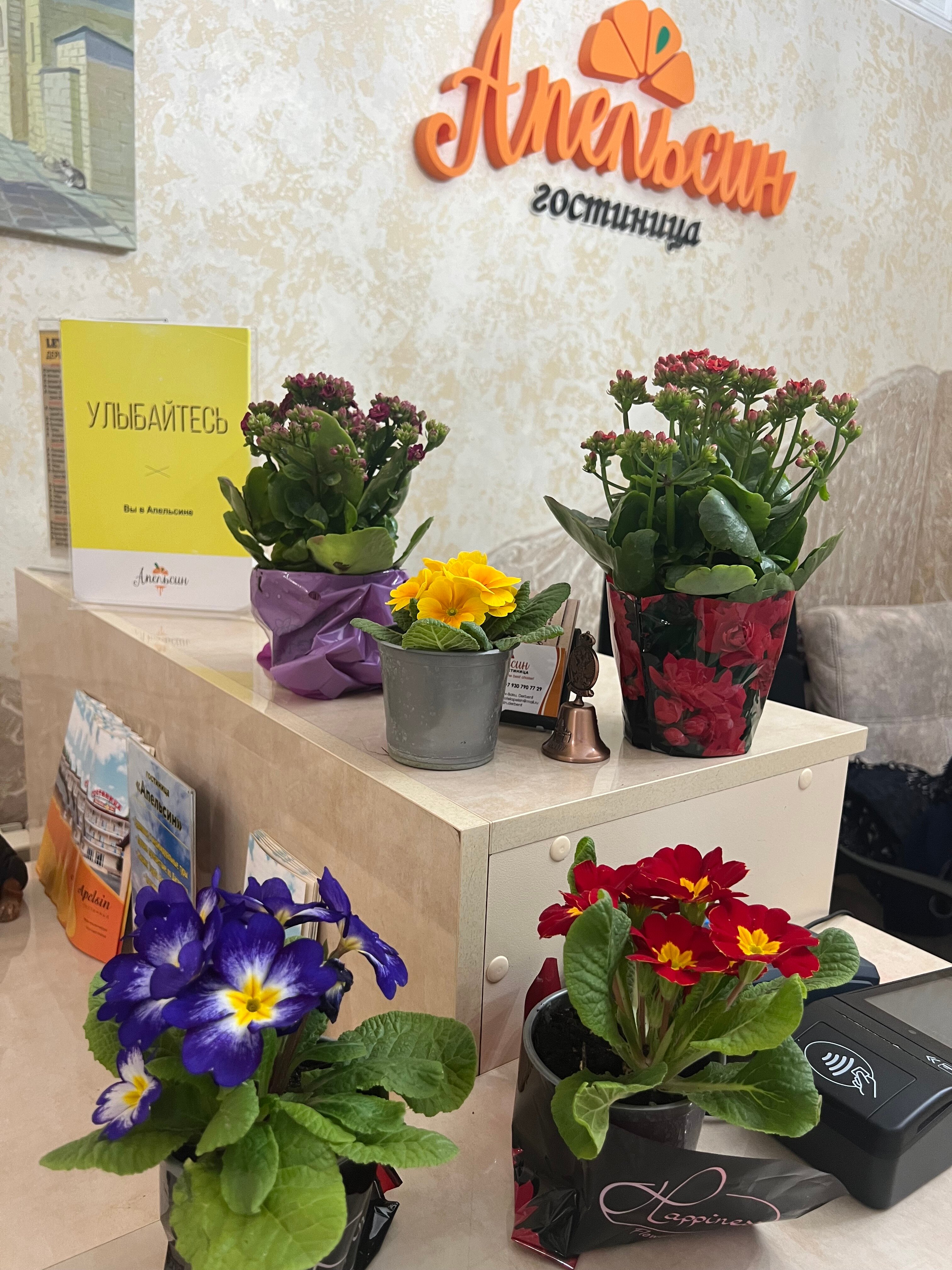 Фото Апельсин