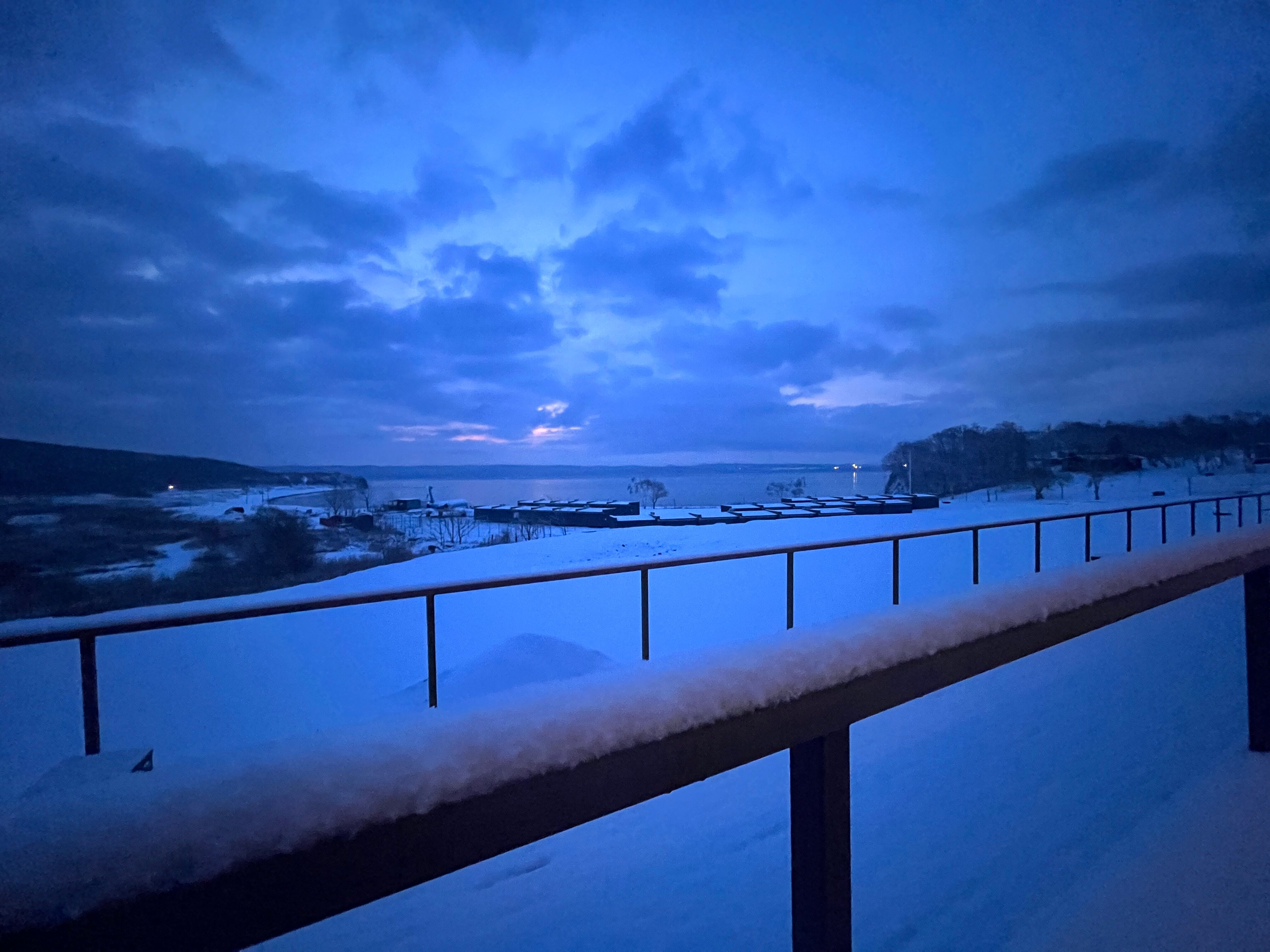 Фото Лазурная черепаха