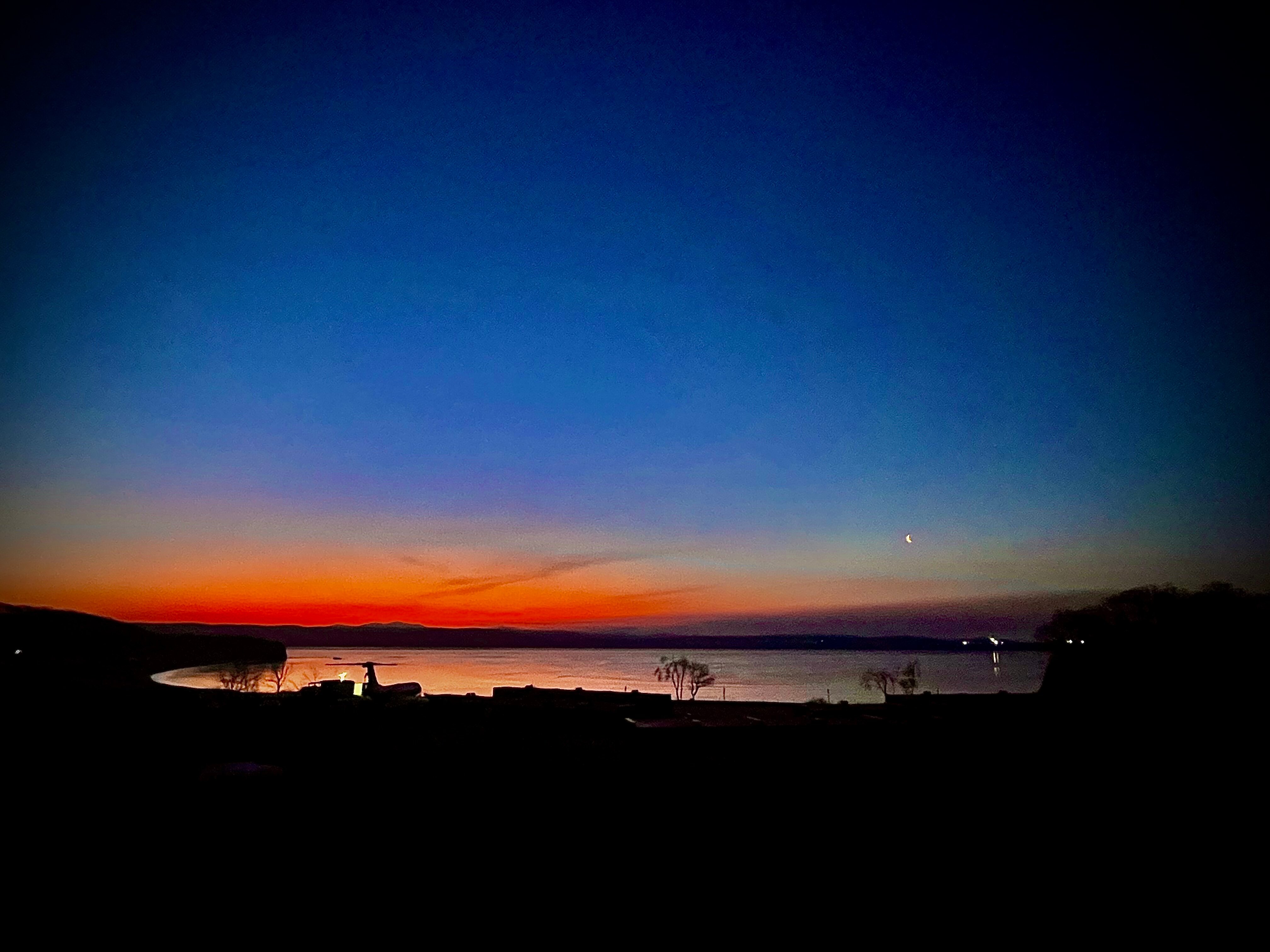 Фото Лазурная черепаха