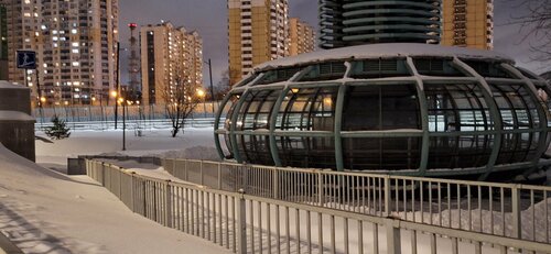 Jinsiy olatni qin orqali qisiladi