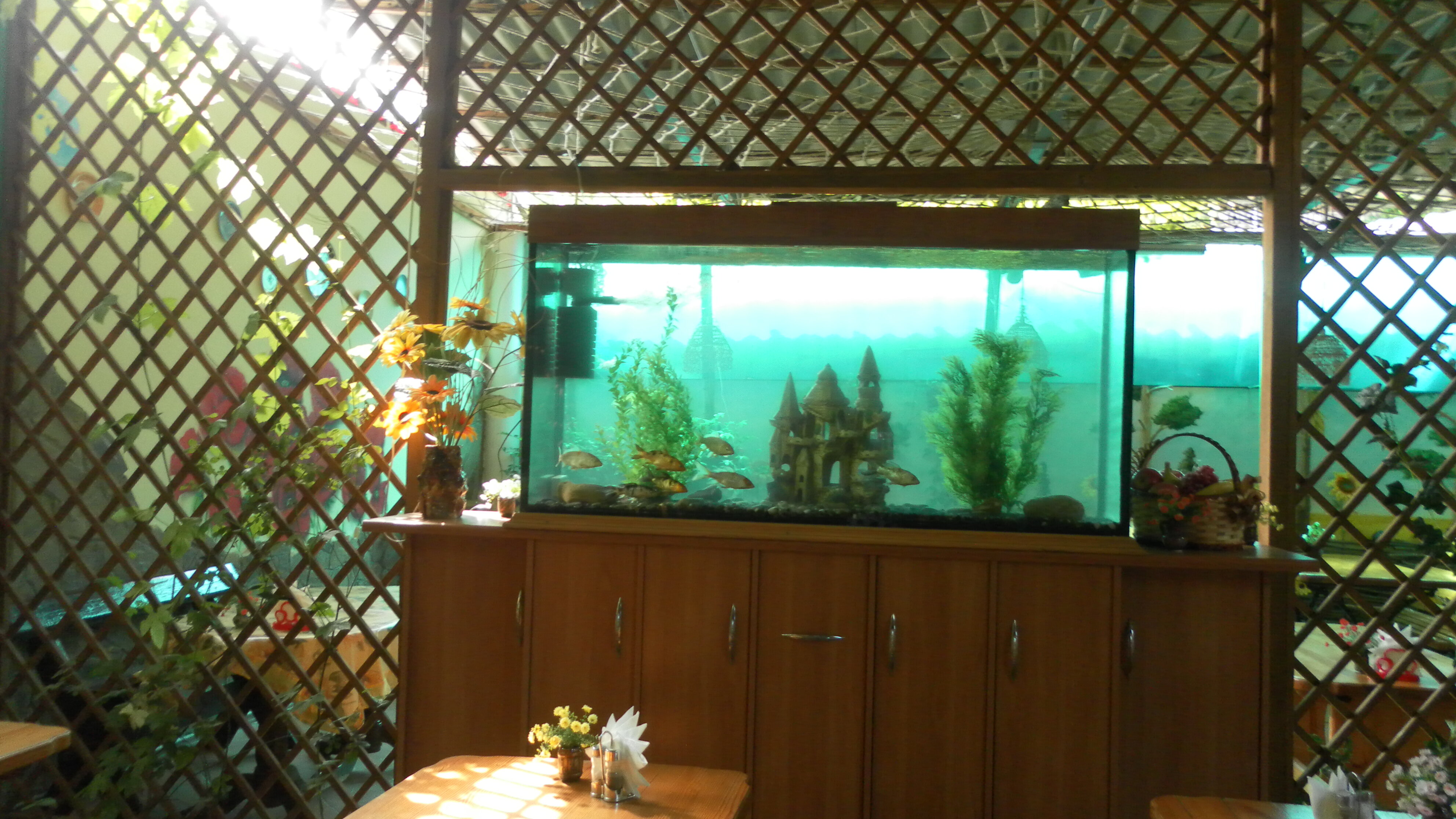 Фото Солнечное Море