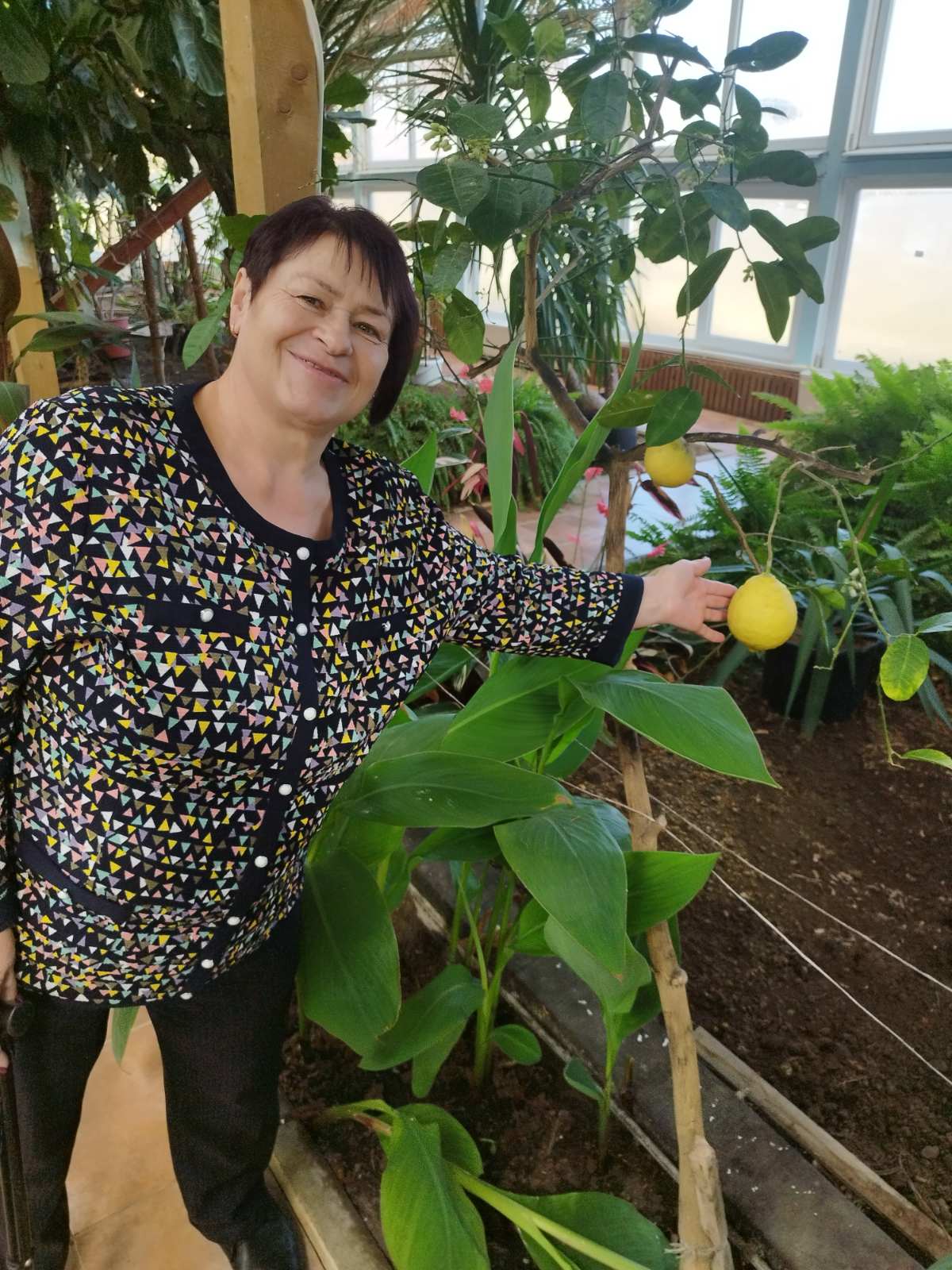 Фото Усадьба Абузерье