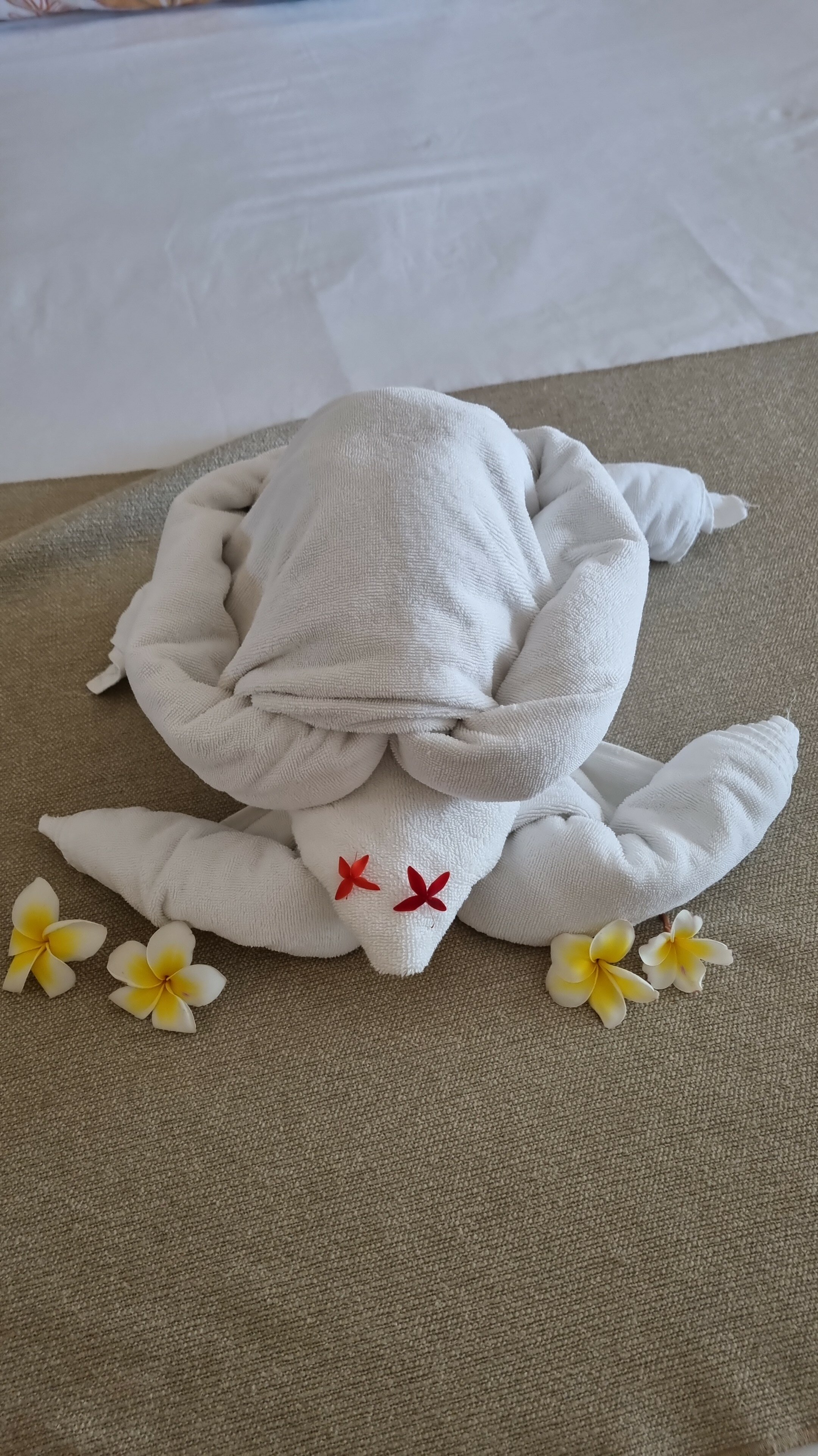 Фото Veranda Palmar Beach Hotel