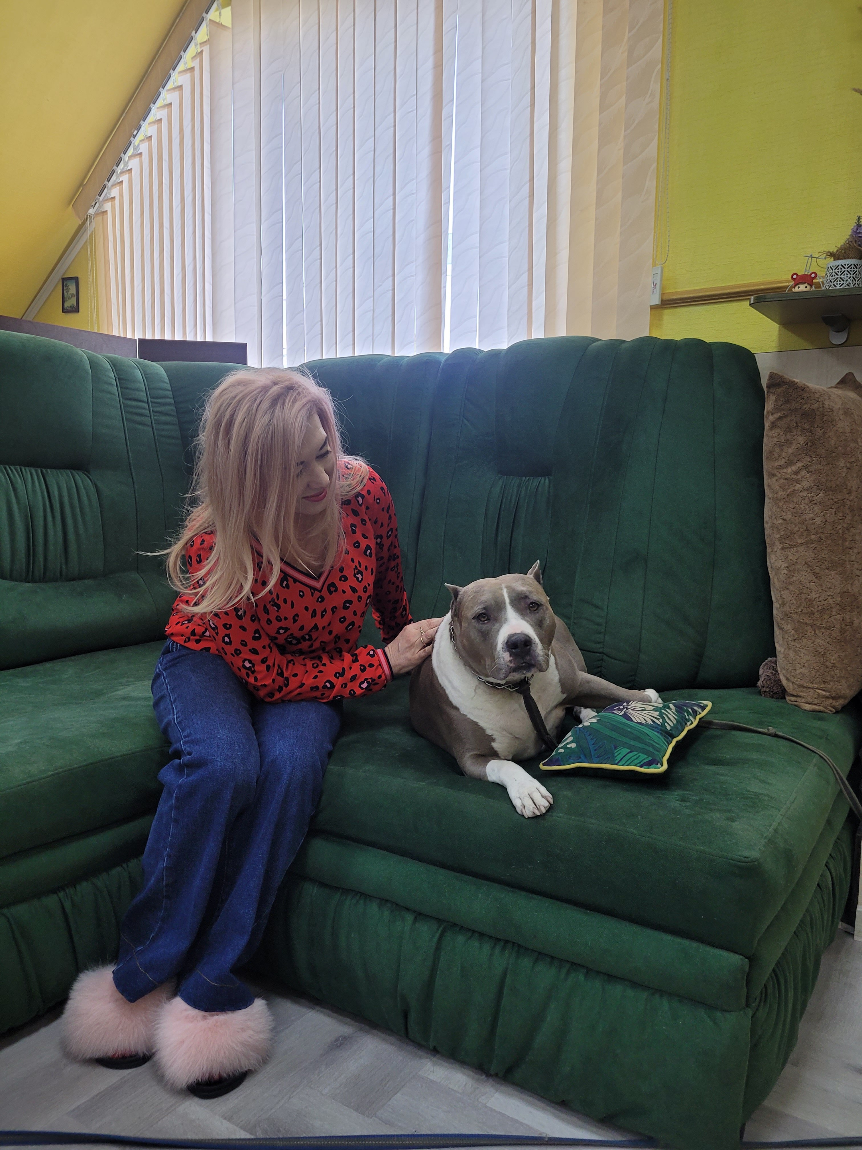 Фото Софитель