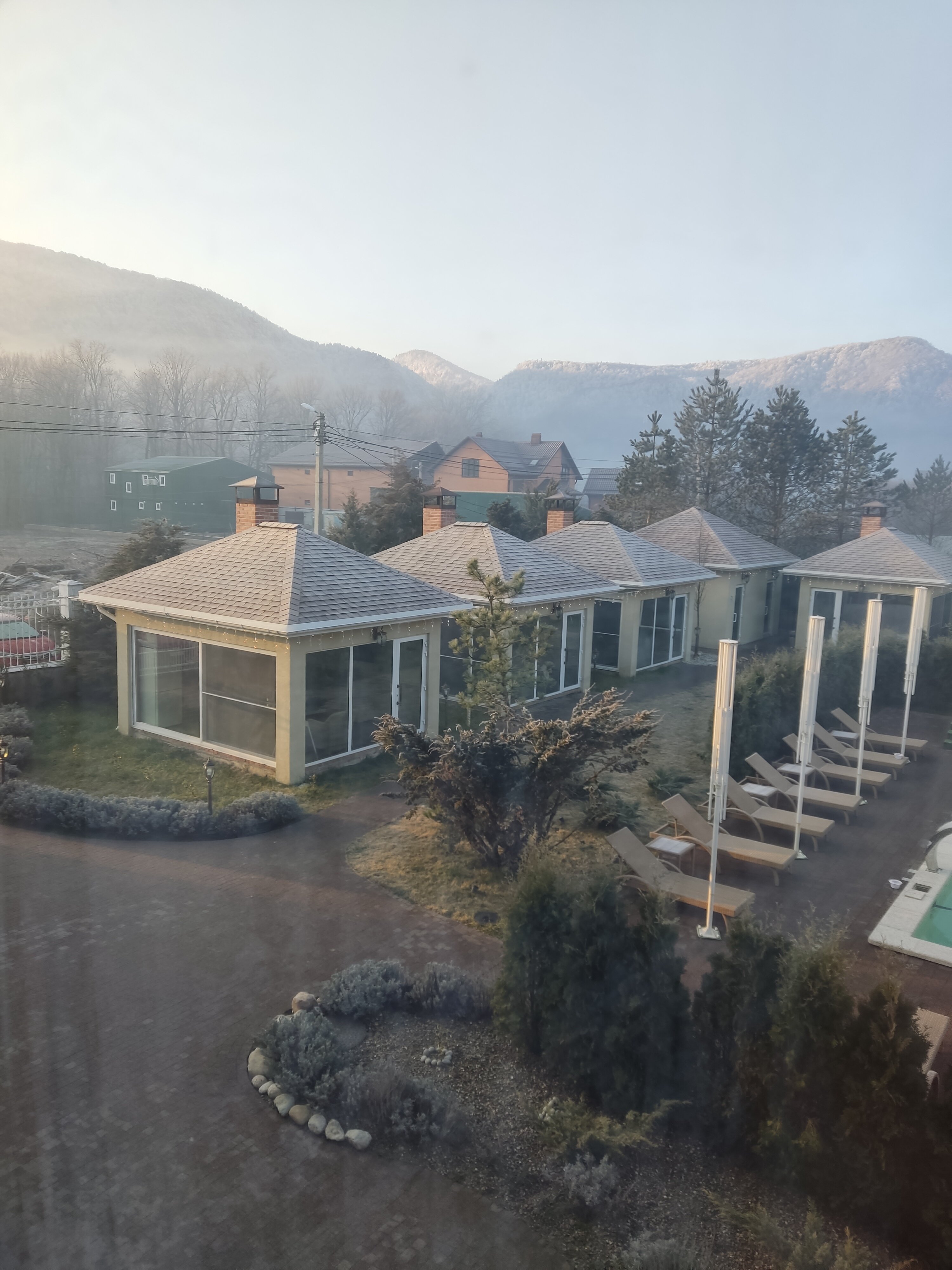 Фото Лаванда