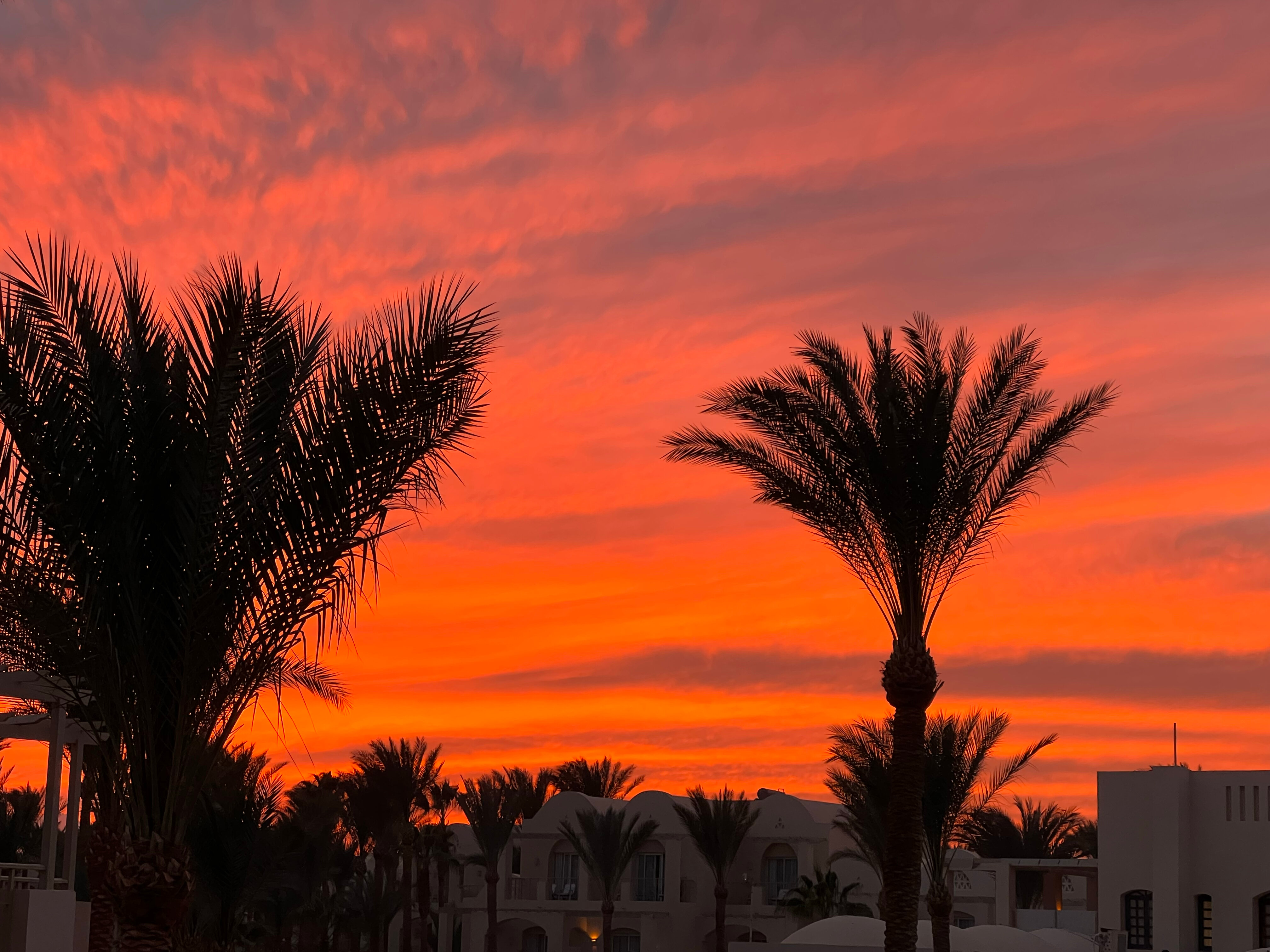 Фото Джаз Макадина