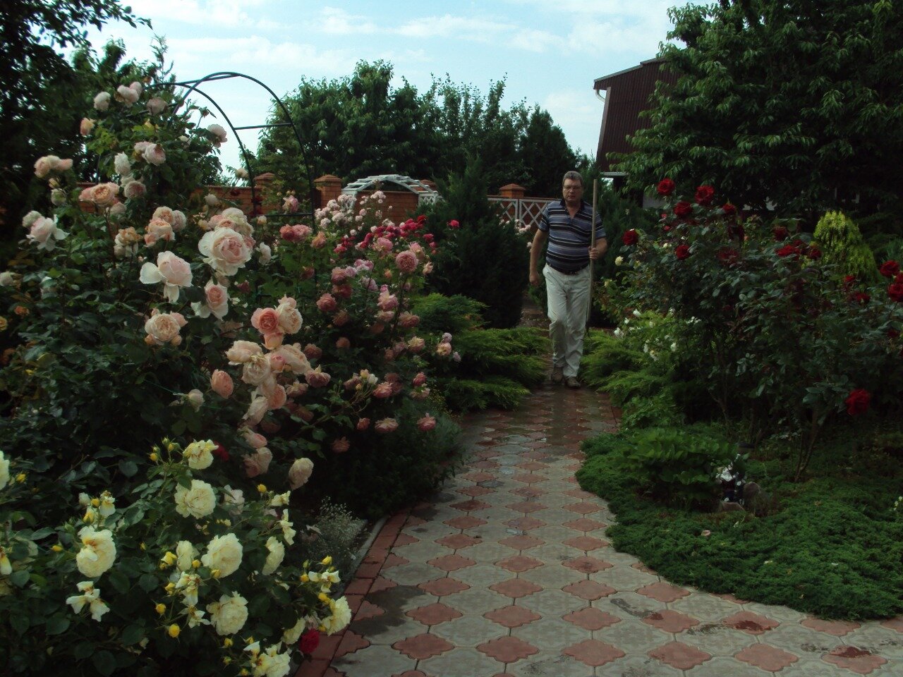 Фото Глория