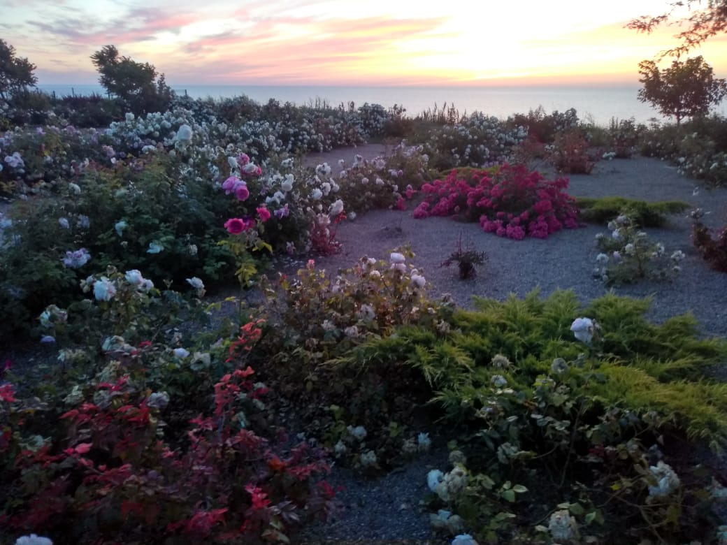 Фото Глория